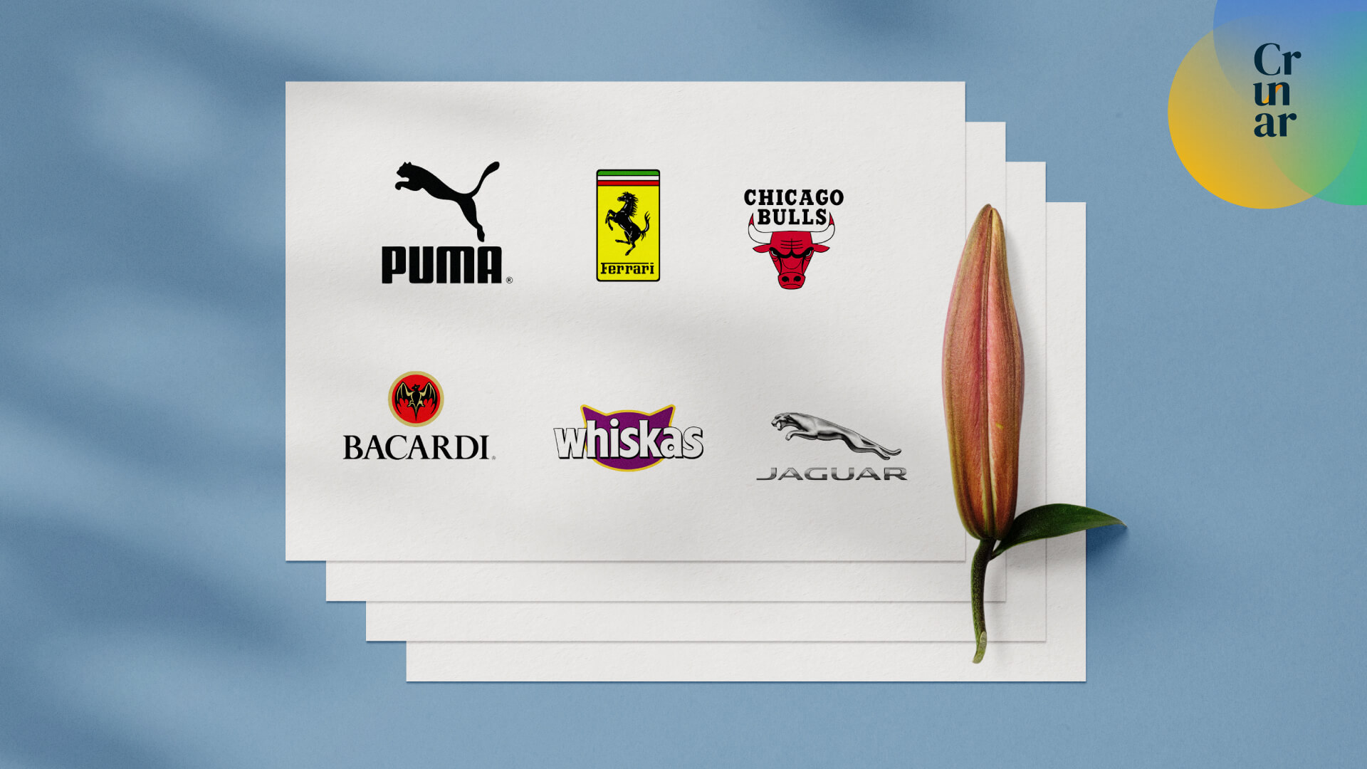 Animal brand una alternativa para el desarrollo de tu marca