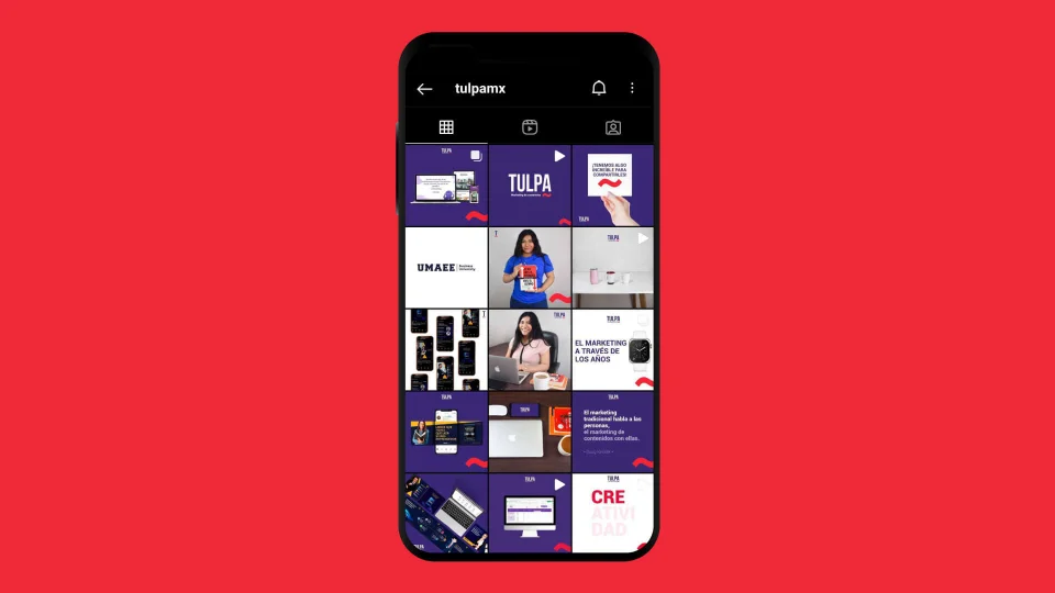Planifica y organiza tu feed de Instagram.