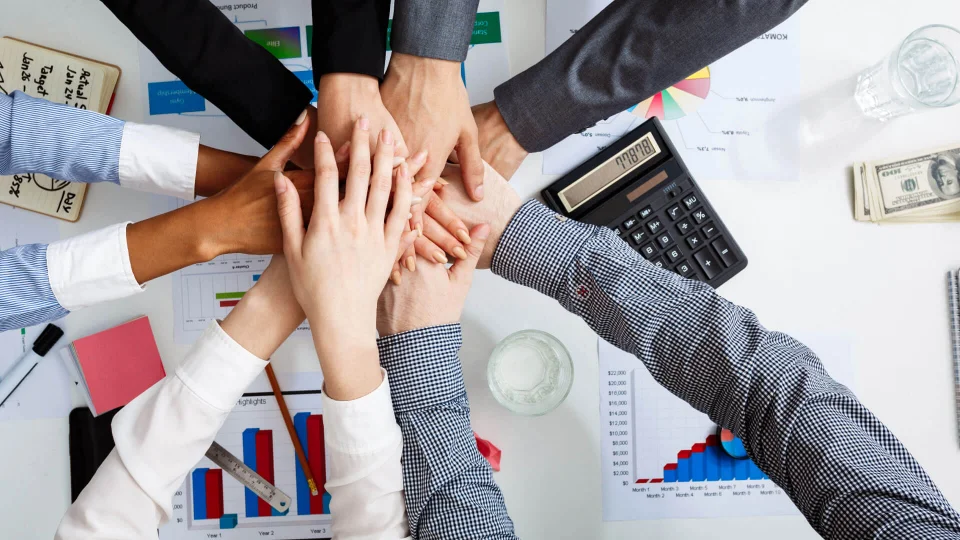 TULPA | Crea una estrategia de prelanzamiento para tu marca
