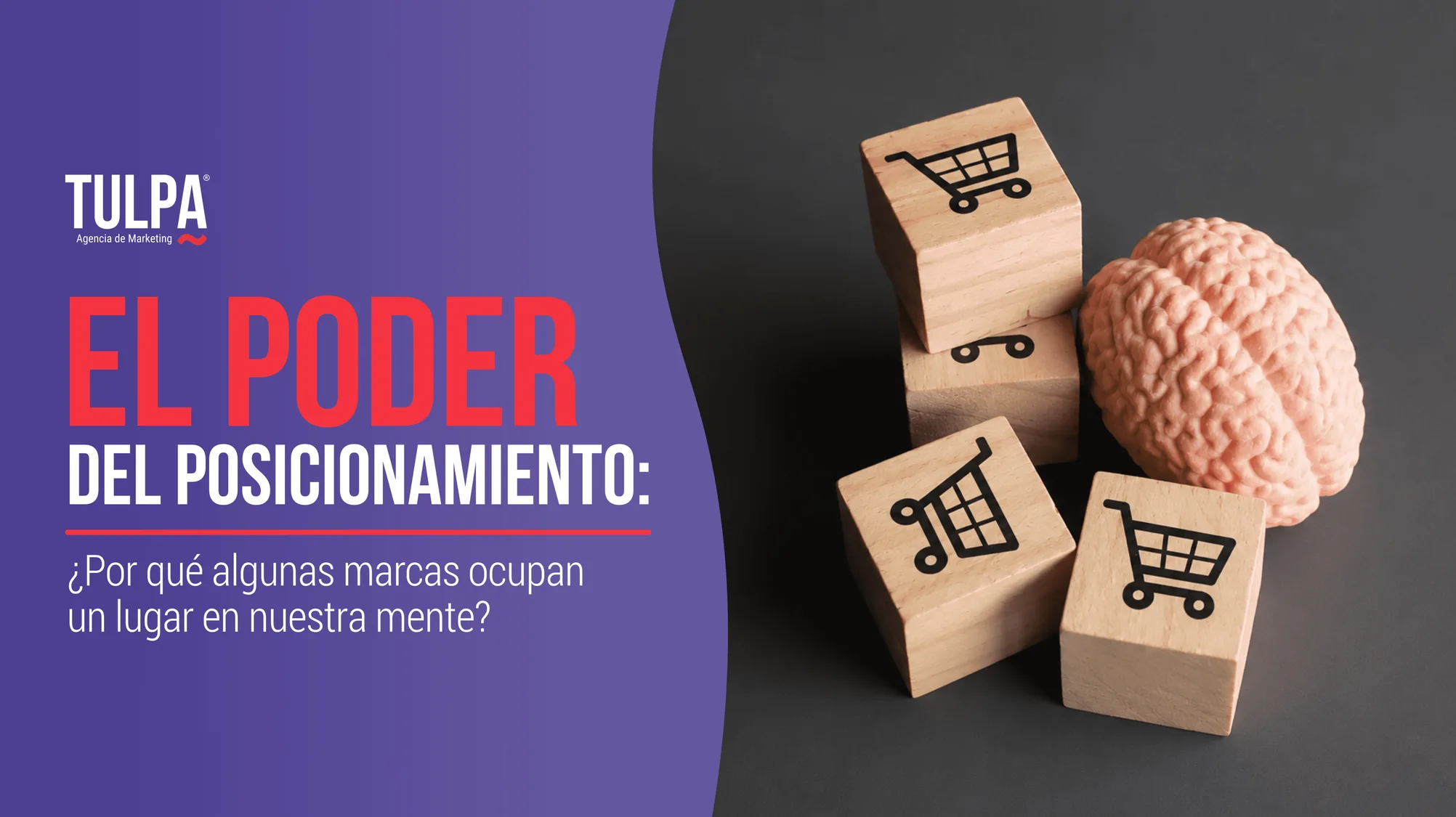 El poder del posicionamiento: ¿por qué algunas marcas ocupan un lugar en nuestra mente?