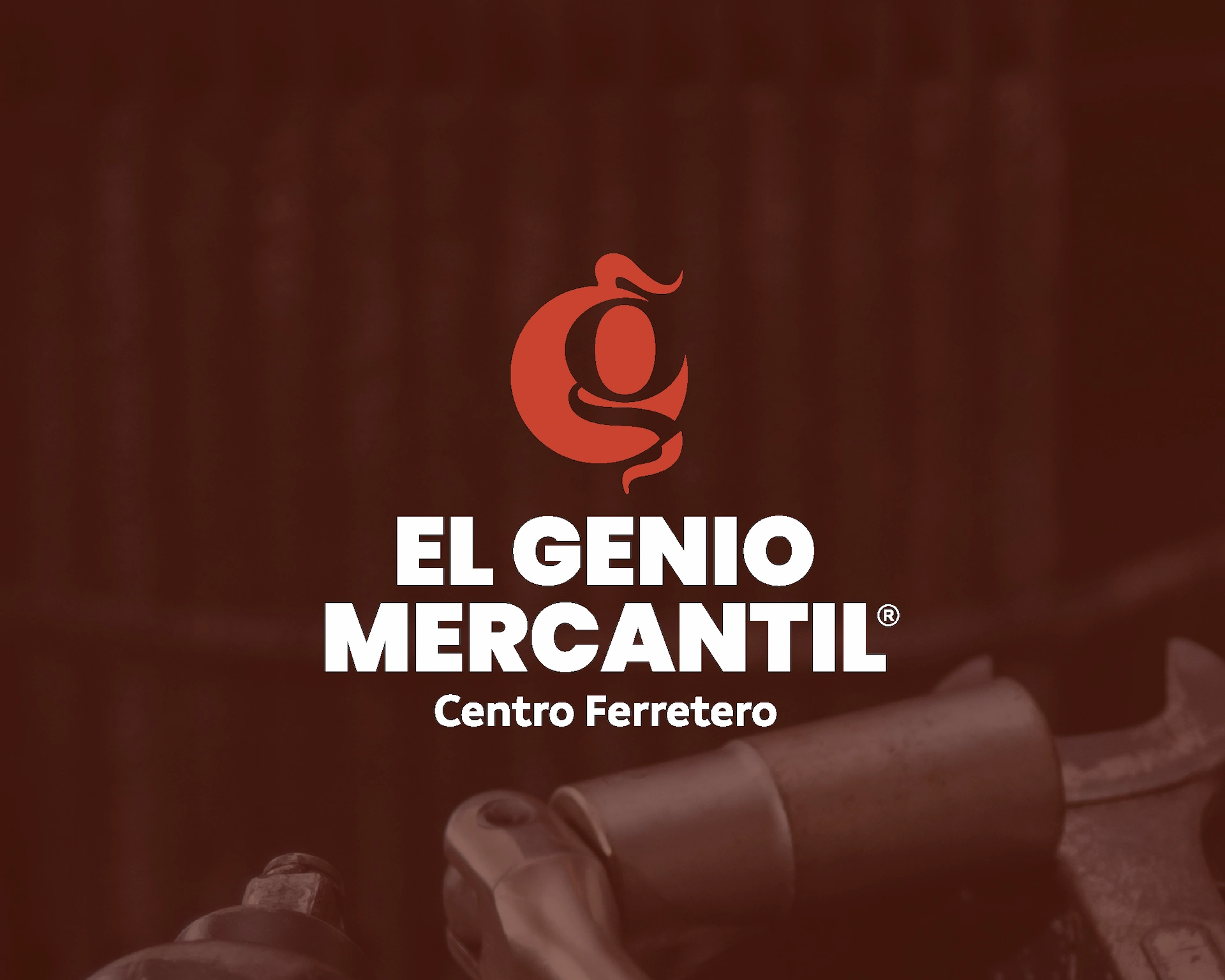 Proyecto El Genio Mercantil, imagen 17