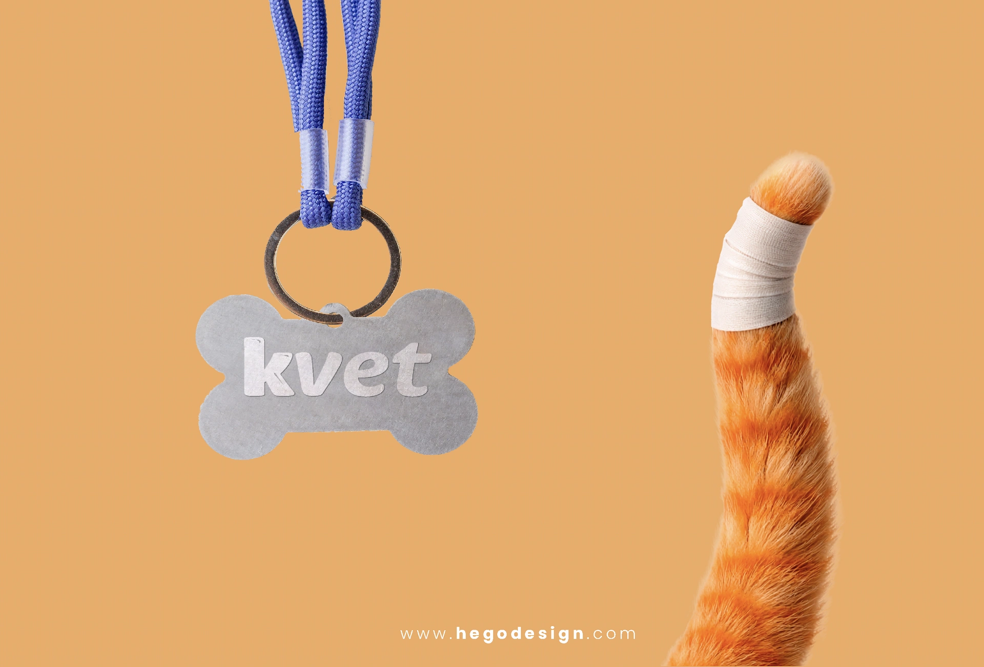 Proyecto Kvet, imagen 13
