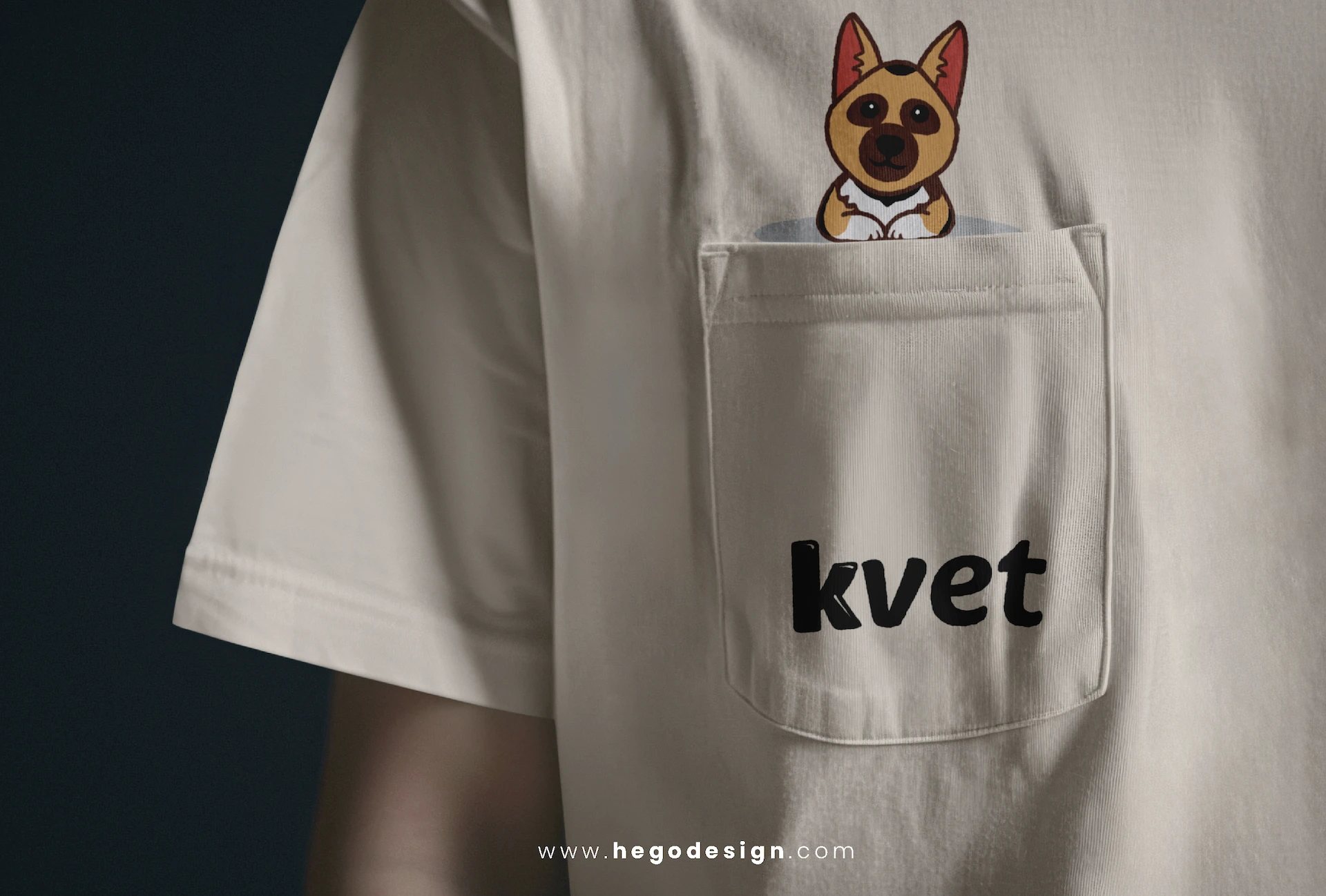 Proyecto Kvet, imagen 4