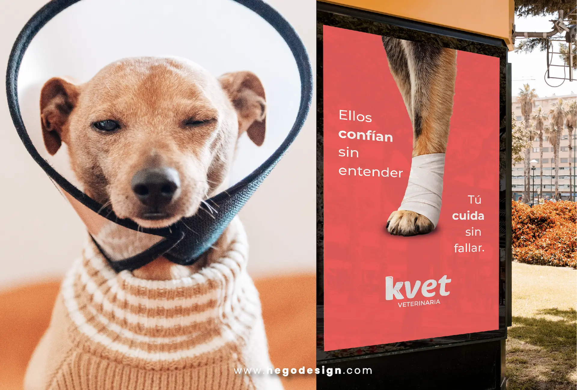 Proyecto Kvet, imagen 6