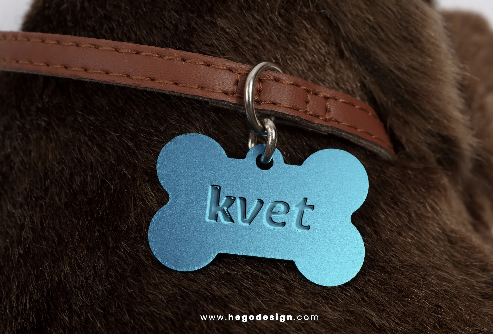 Proyecto Kvet, imagen 11