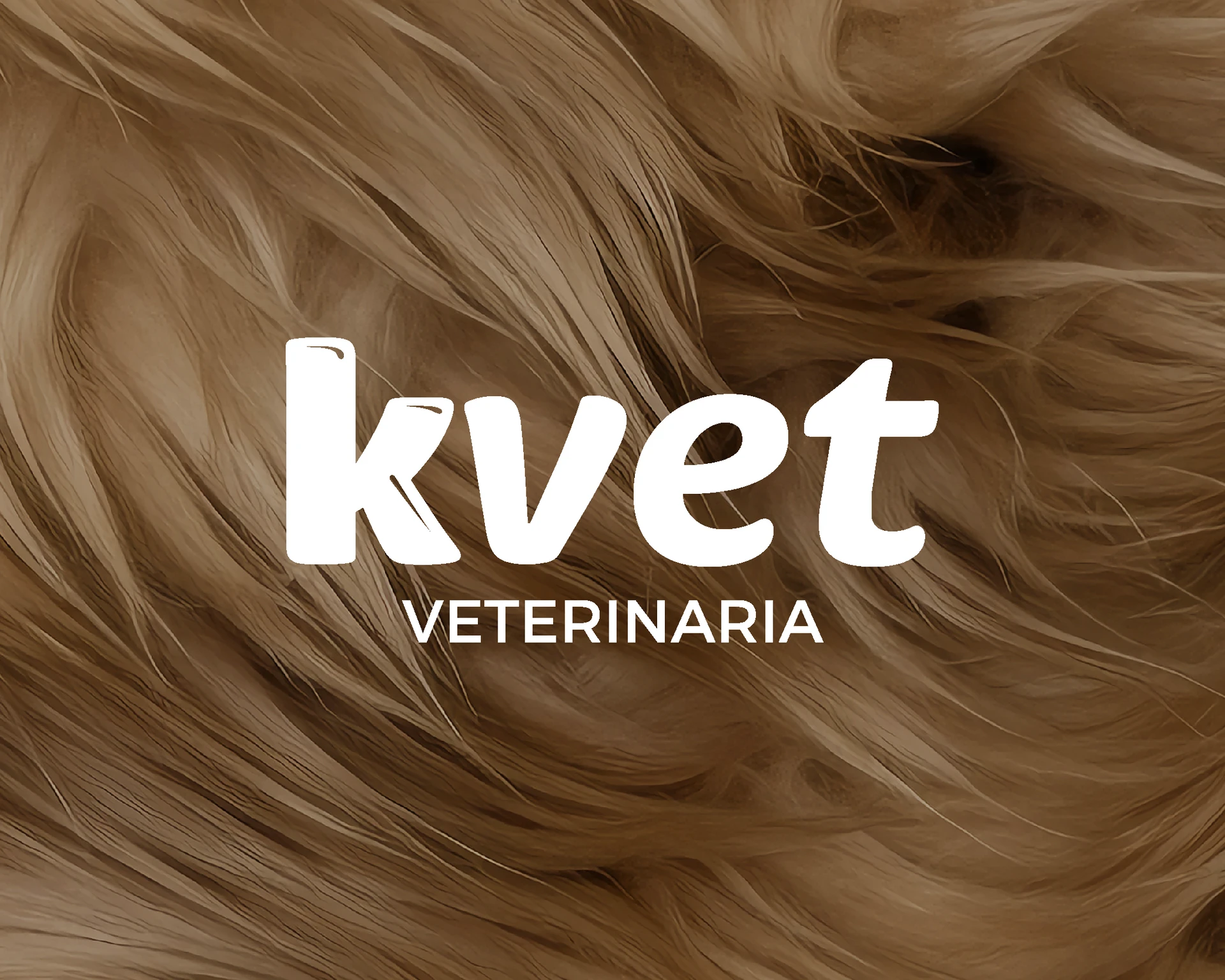 Proyecto Kvet, imagen 16