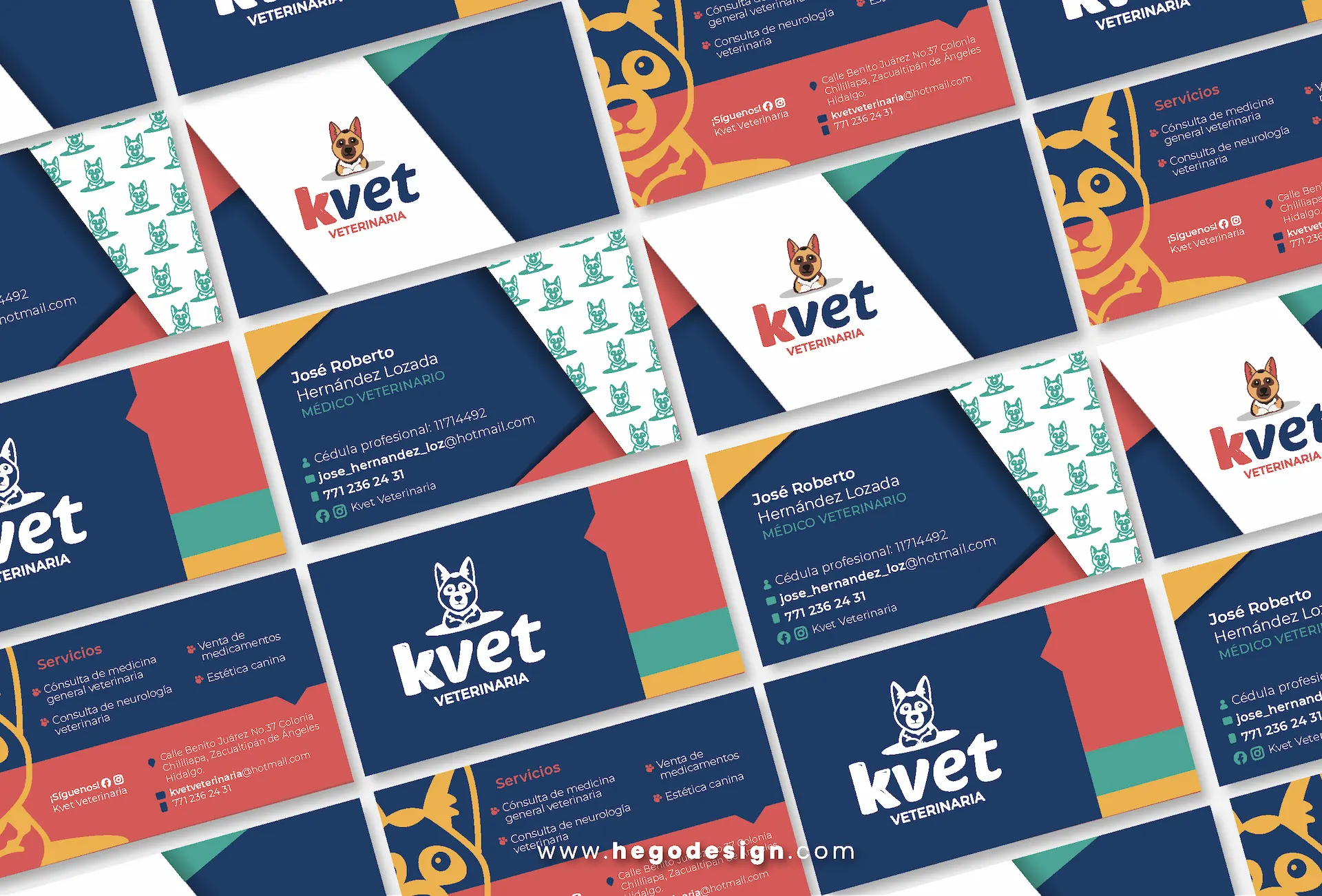 Proyecto Kvet, imagen 10