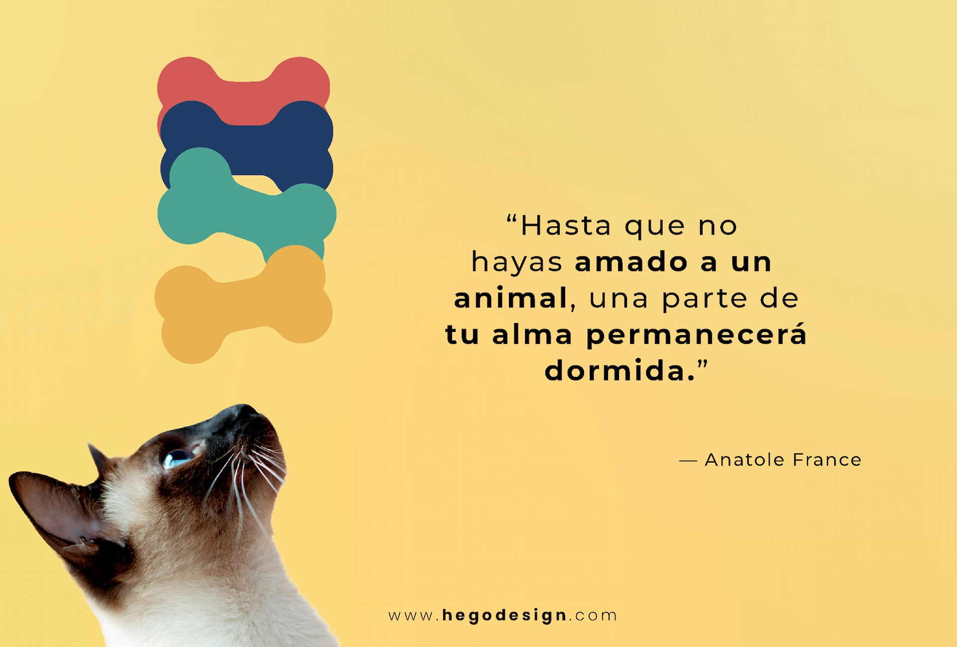 Proyecto Kvet, imagen 2