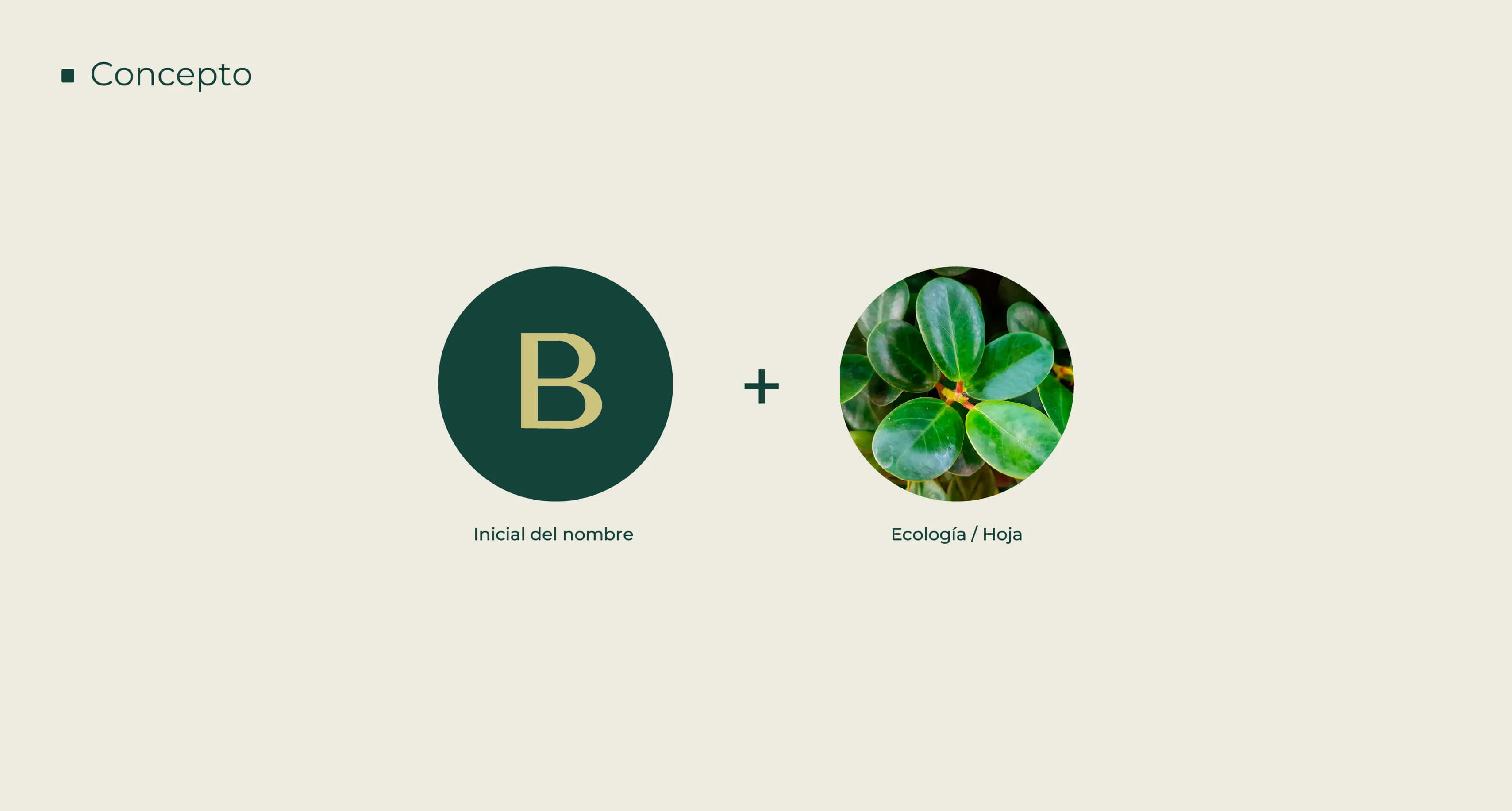 Crunar branding bora logotipo